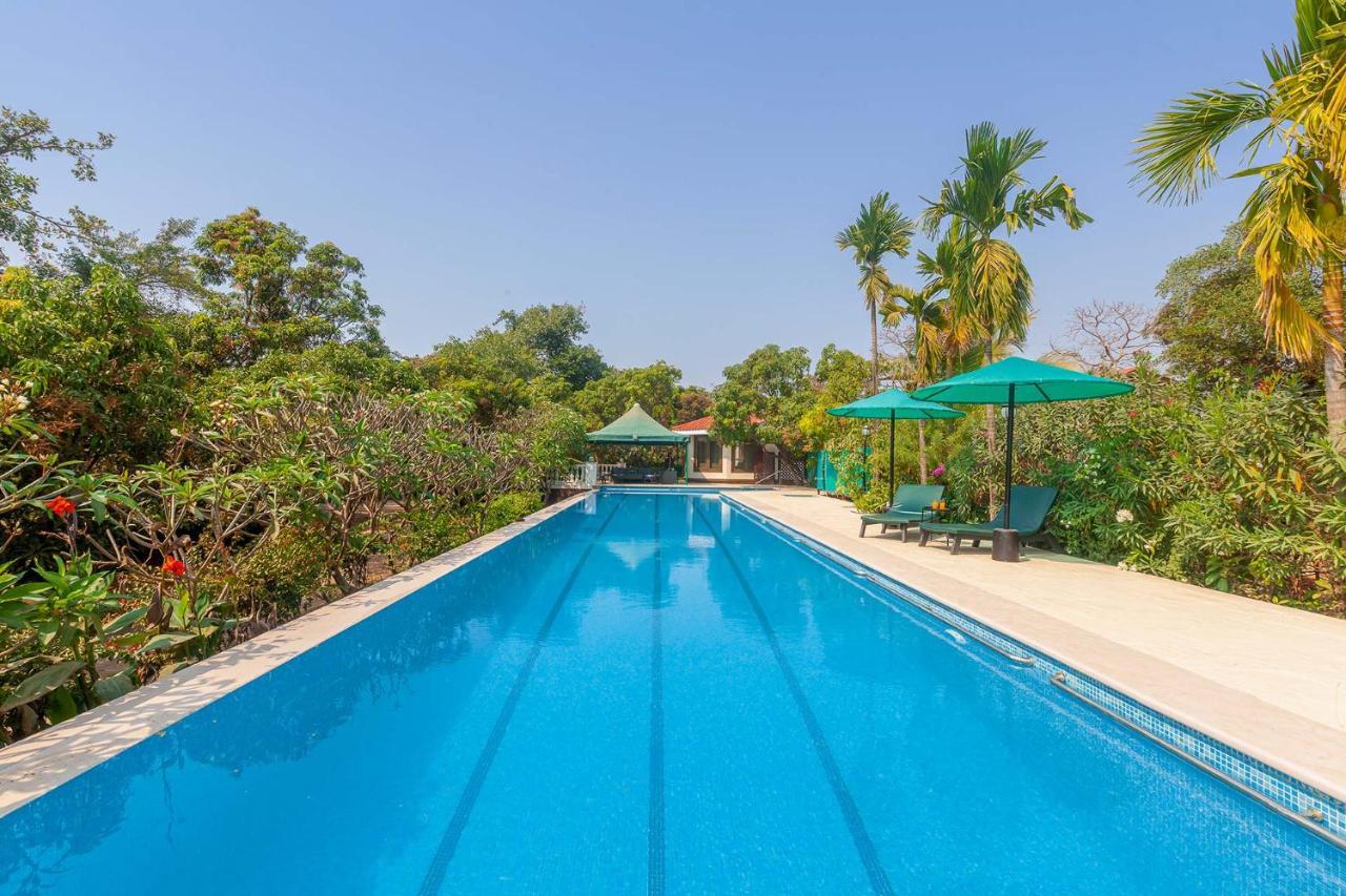 Stayvista'S Casa Palmera - Pet-Friendly Villa With Pool, Garden With Gazebo, And Indoor & Outdoor Games Alibag Bagian luar foto