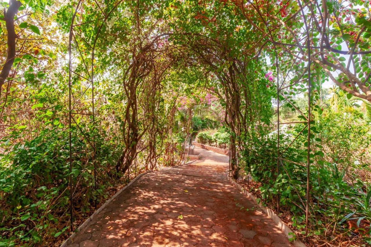 Stayvista'S Casa Palmera - Pet-Friendly Villa With Pool, Garden With Gazebo, And Indoor & Outdoor Games Alibag Bagian luar foto