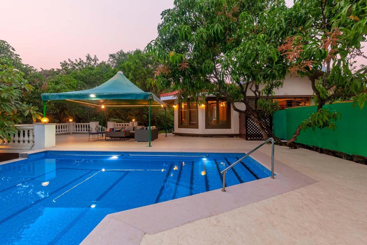 Stayvista'S Casa Palmera - Pet-Friendly Villa With Pool, Garden With Gazebo, And Indoor & Outdoor Games Alibag Bagian luar foto